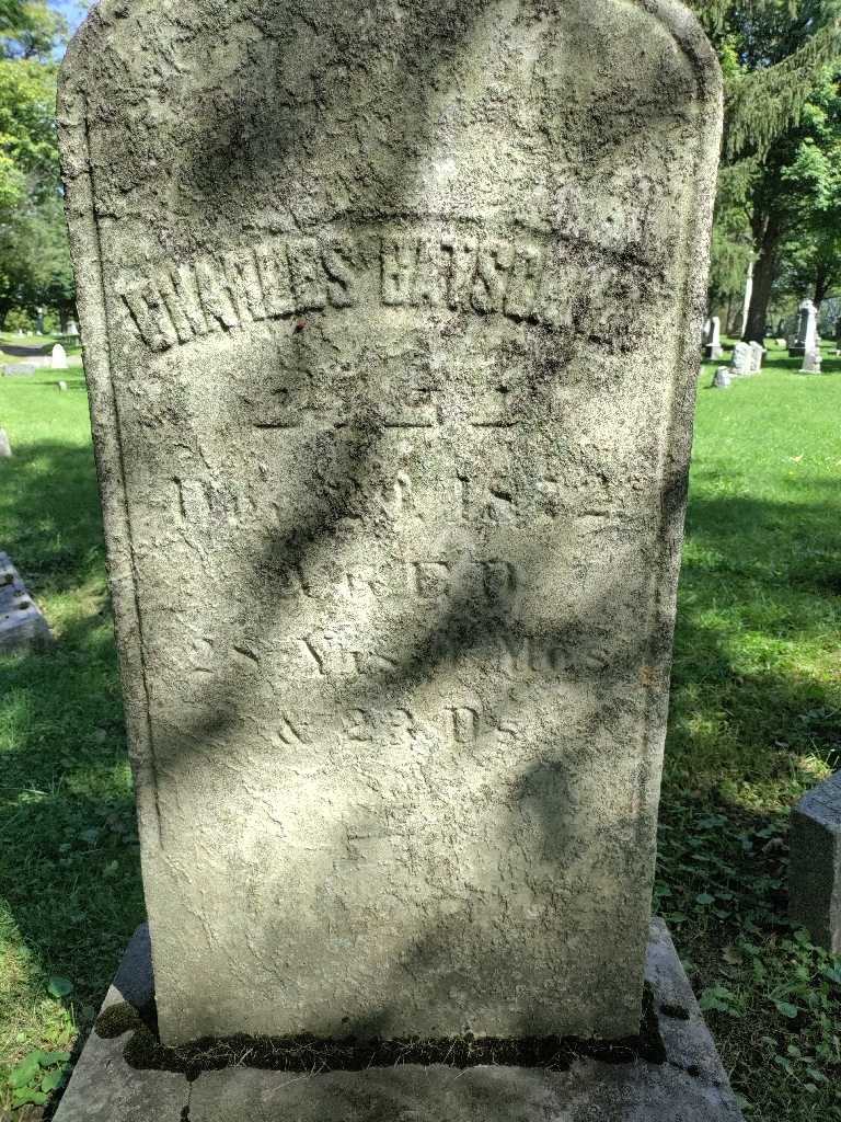 Charles Gatscher's grave. Photo 3