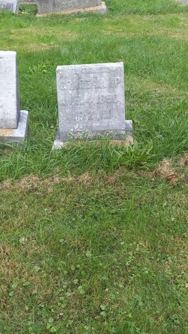 Grace Lamp's grave. Photo 2