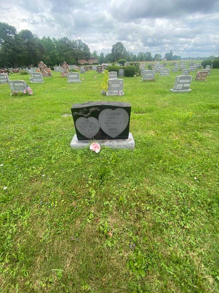 Ellen Belle Stevens's grave. Photo 1