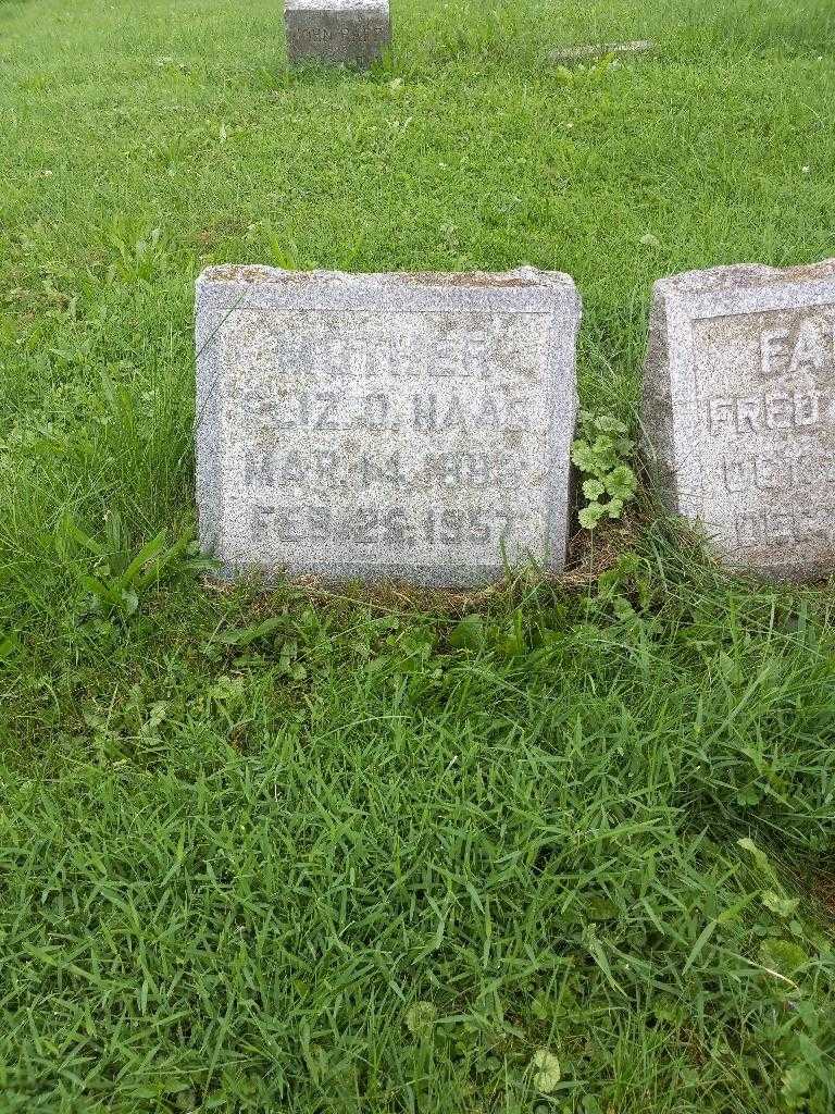Elizabeth O. Haag's grave. Photo 3