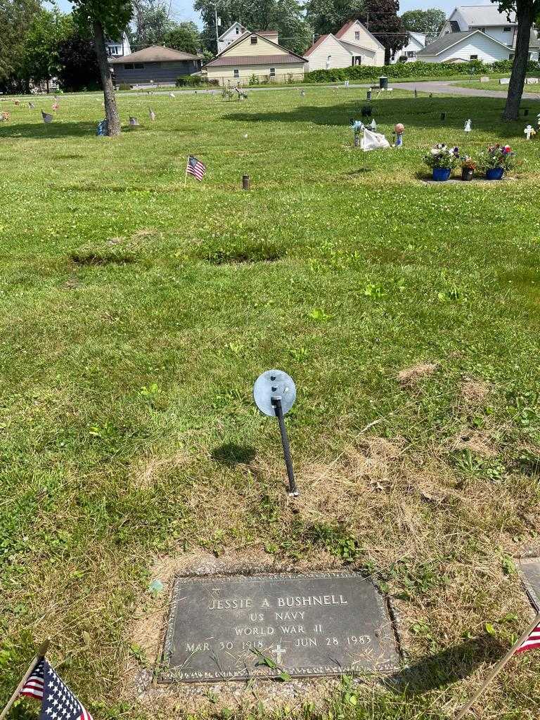 Jessie A. Bushnell's grave. Photo 2