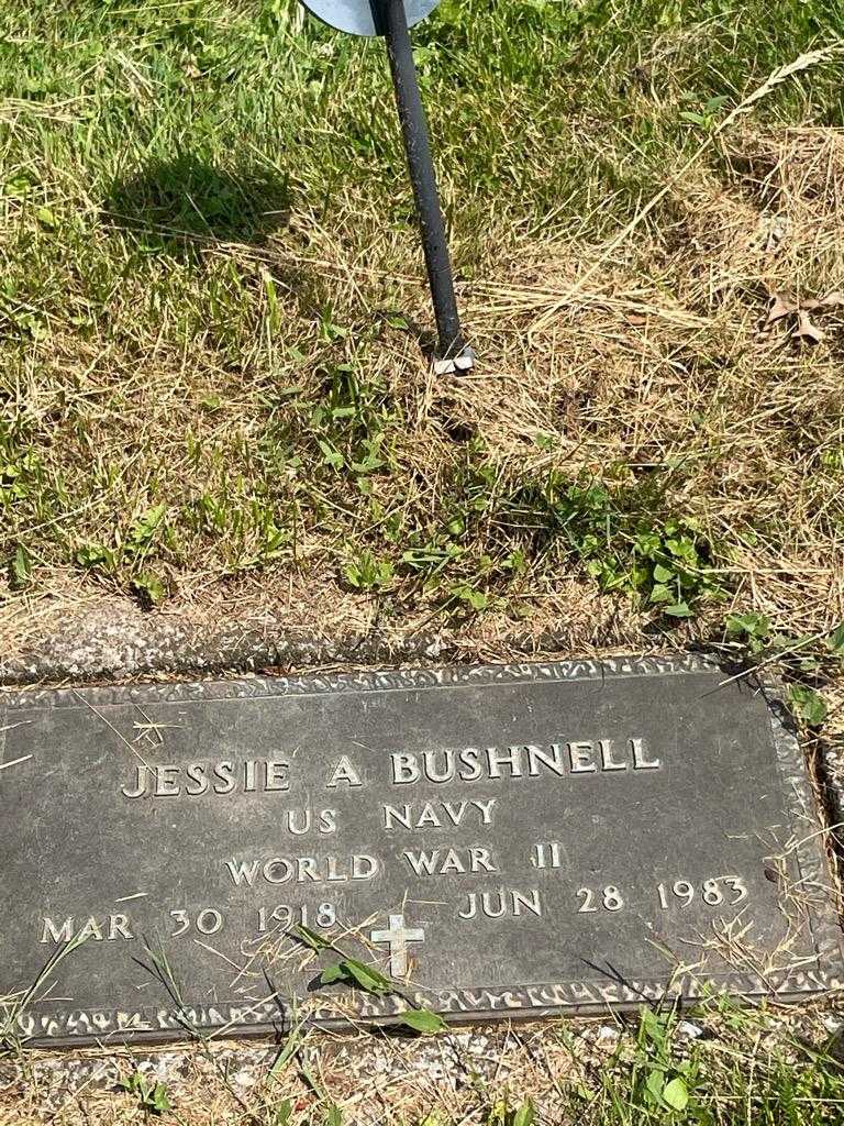 Jessie A. Bushnell's grave. Photo 3