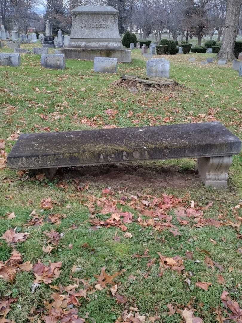 Louis Aaron's grave. Photo 2