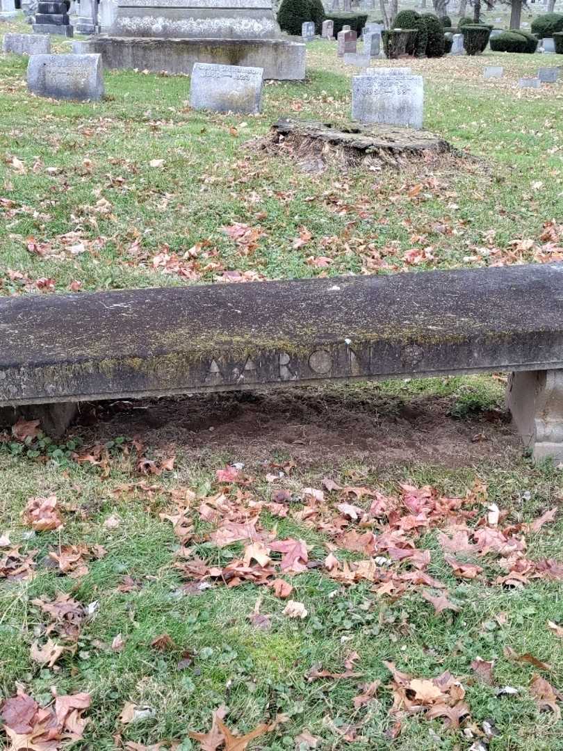 Louis Aaron's grave. Photo 3
