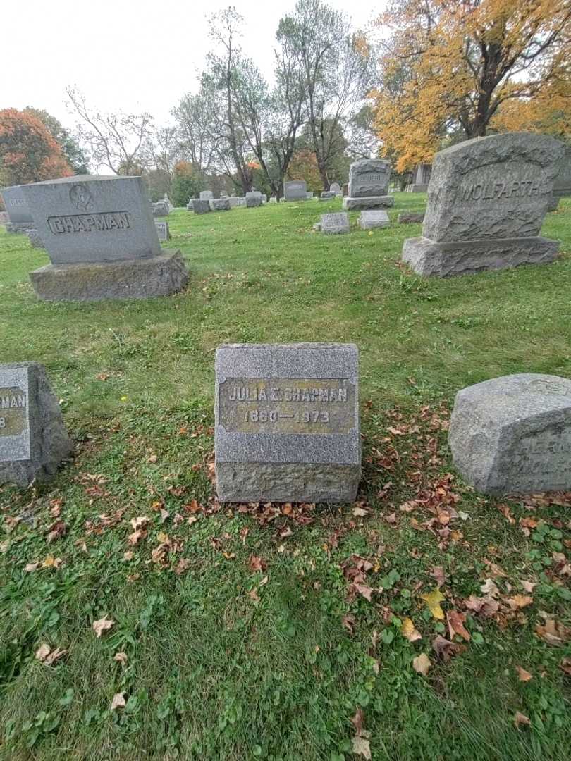 Julia E. Chapman's grave. Photo 1