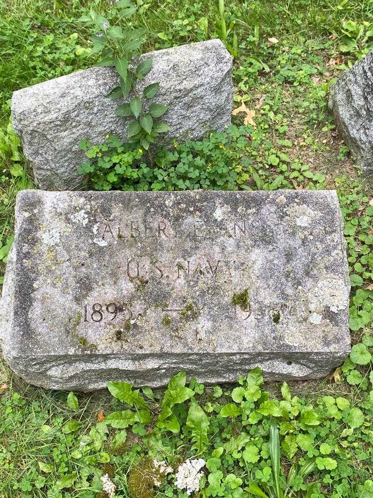 Albert Evans's grave. Photo 3