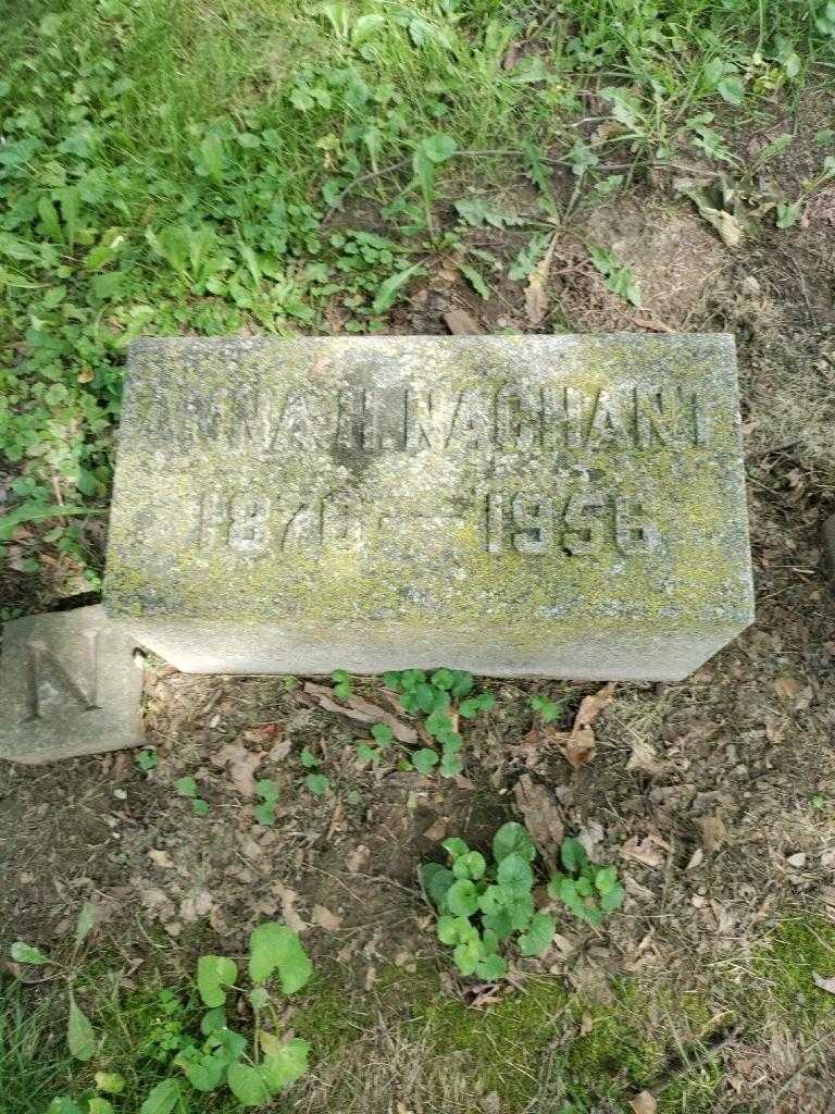 Anna H. Nachant's grave. Photo 2