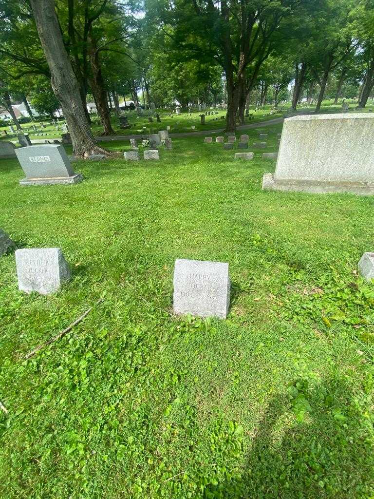 Harry S. Tucker's grave. Photo 1