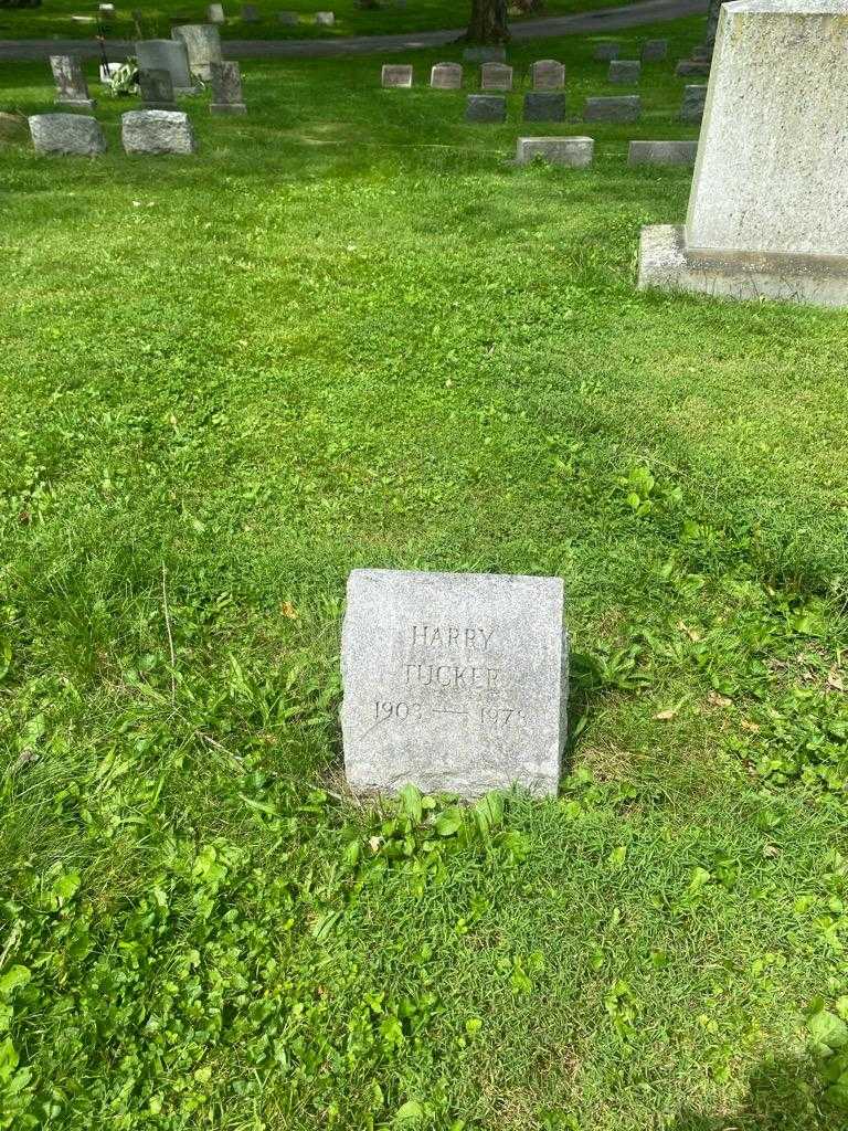 Harry S. Tucker's grave. Photo 2