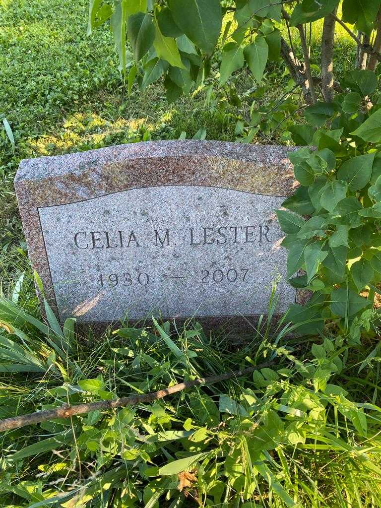 Celia M. Lester's grave. Photo 3