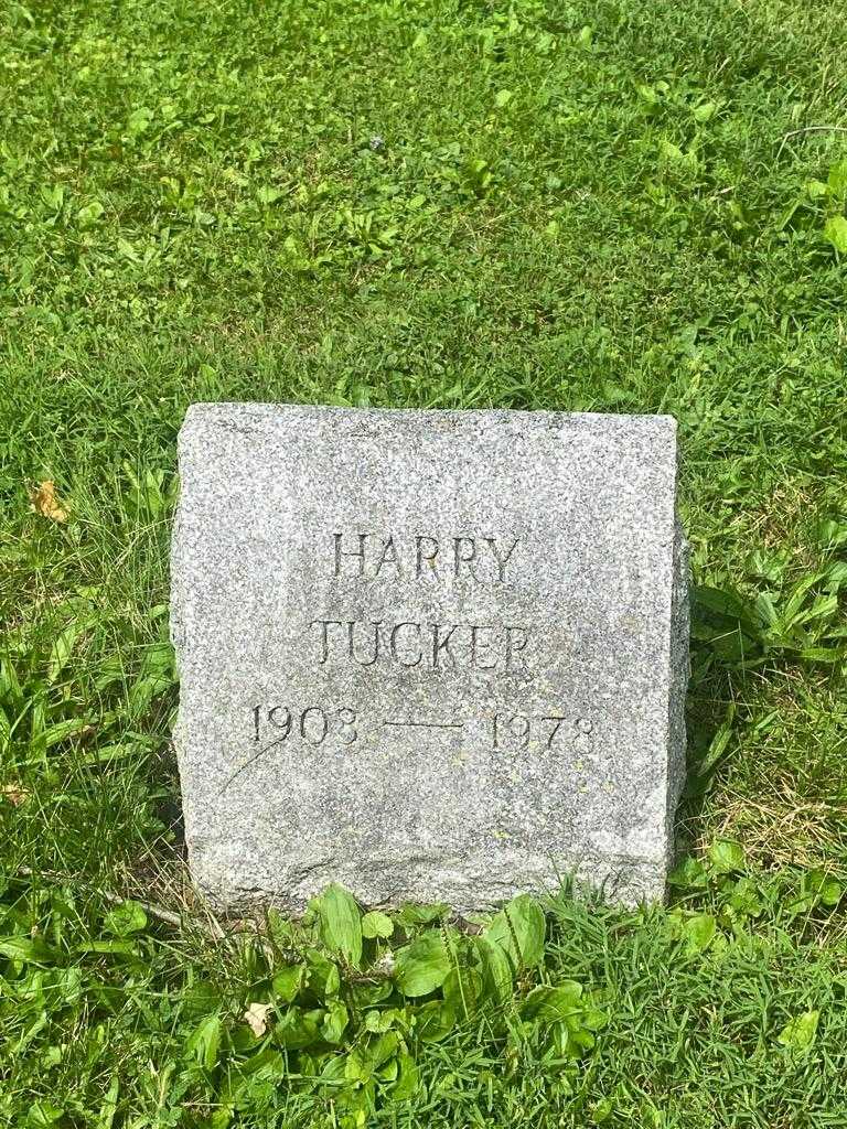Harry S. Tucker's grave. Photo 3
