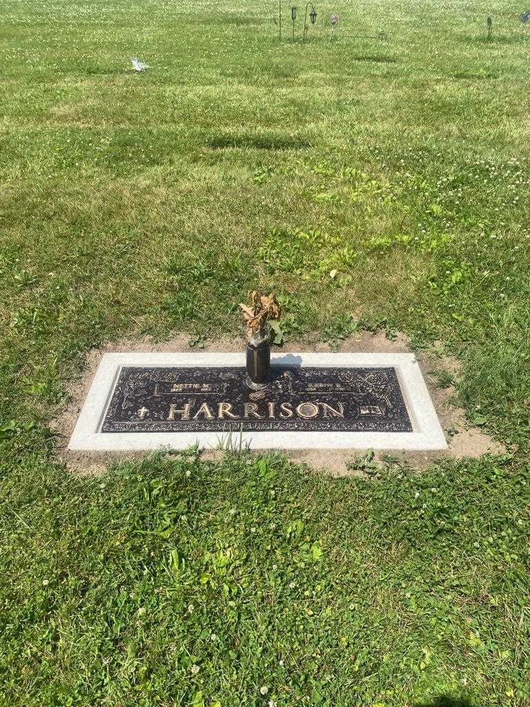Nettie M. Harrison's grave. Photo 2
