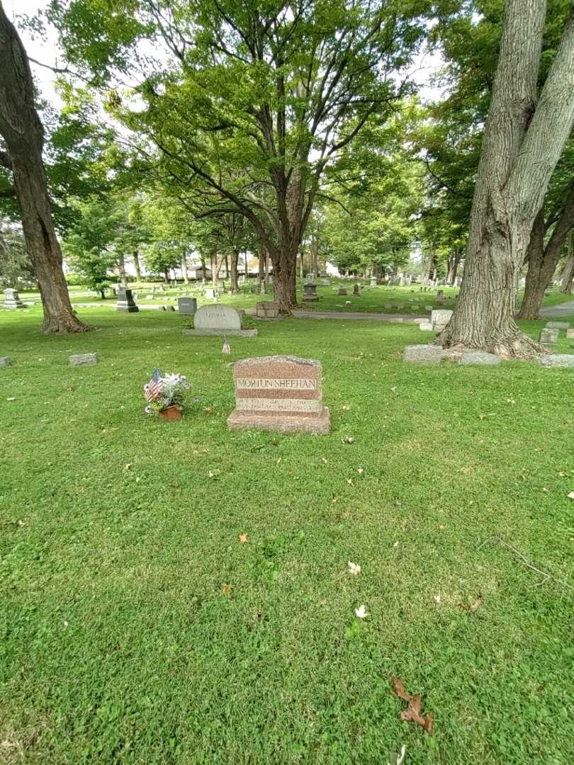 David Sheehan's grave. Photo 1
