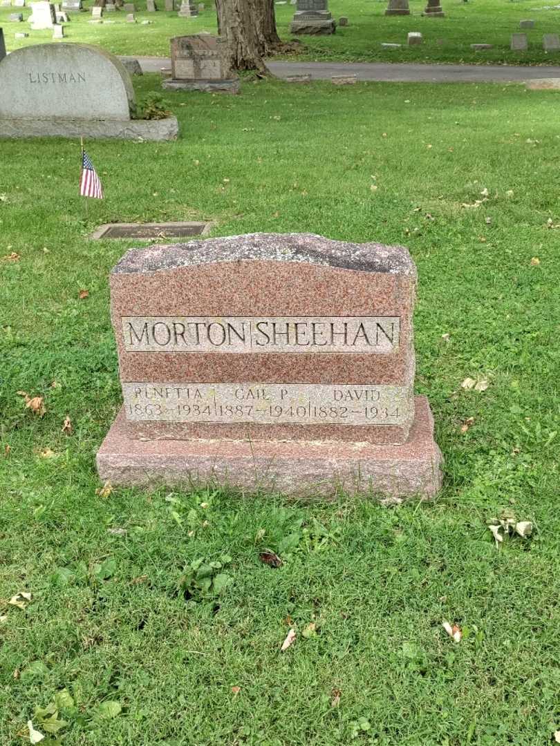 David Sheehan's grave. Photo 2