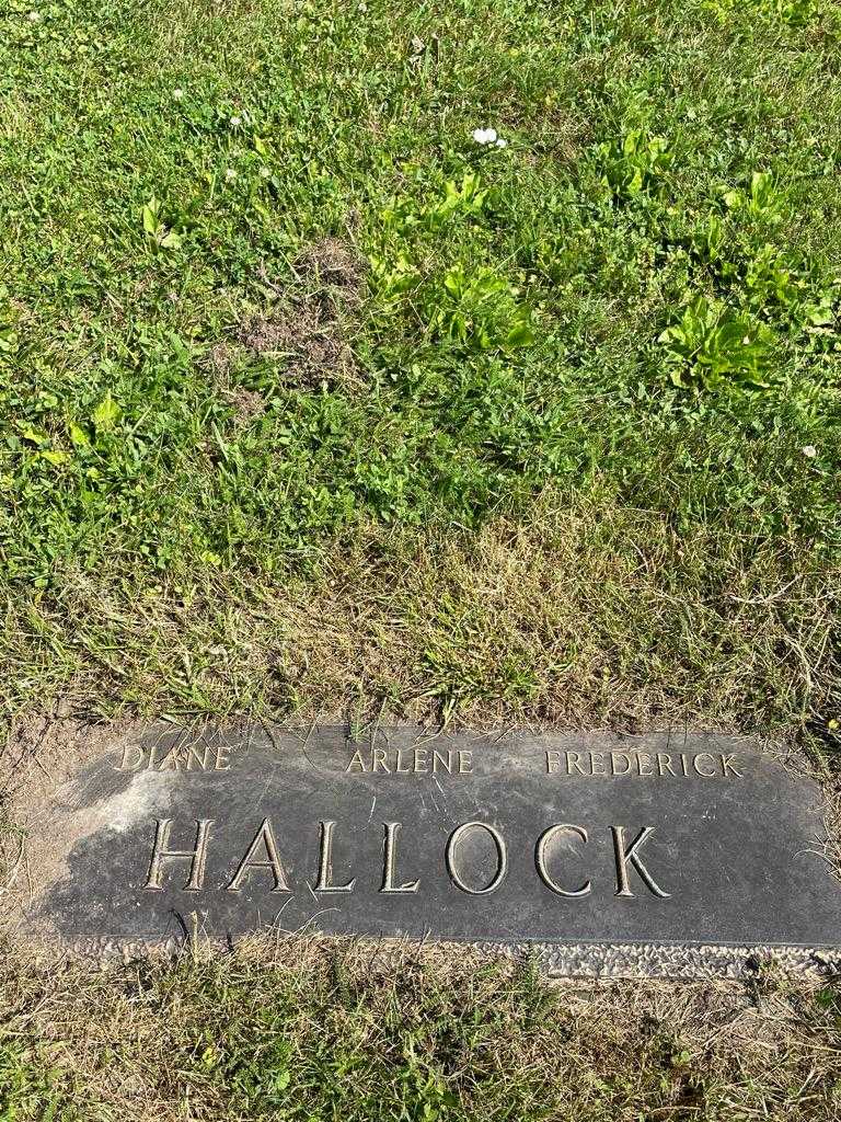 Diane Hallock's grave. Photo 3
