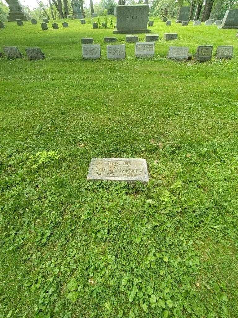 Theresa D. Knaul's grave. Photo 1