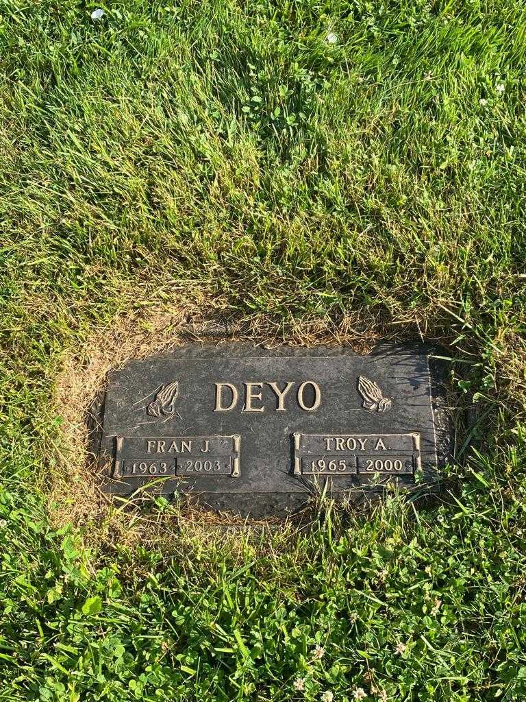 Troy A. Deyo's grave. Photo 3