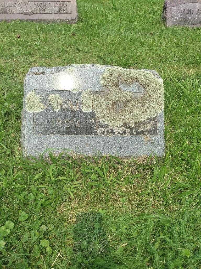 Sarah Detine's grave. Photo 1