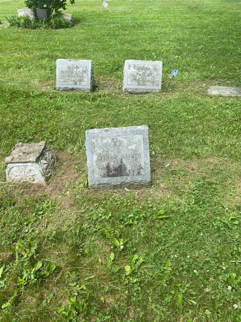 Arhur Weiner's grave. Photo 2