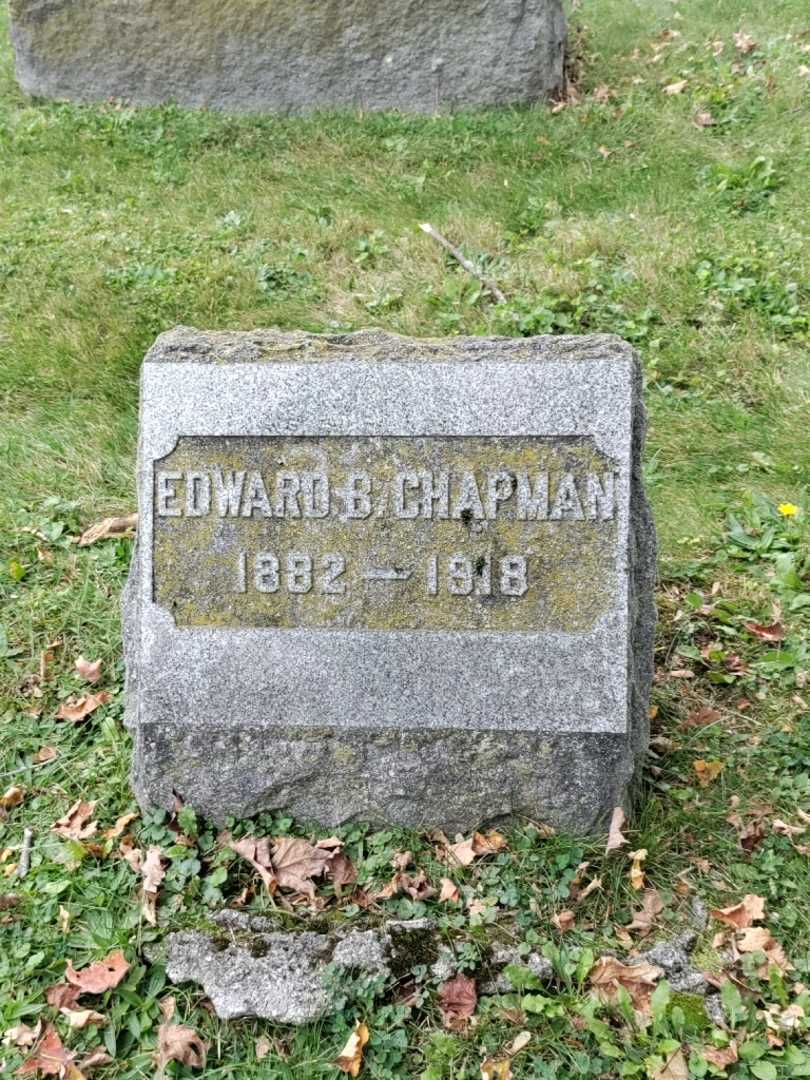 Doctor Edward Bulger Chapman's grave. Photo 2