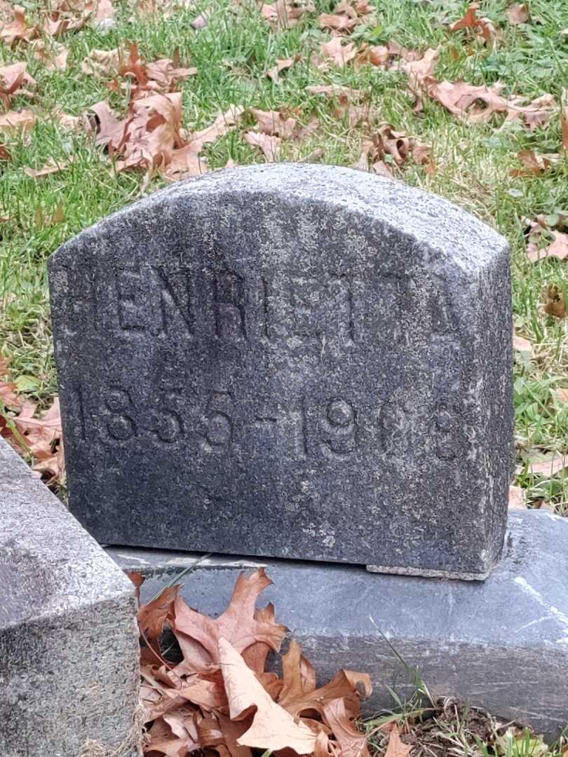 Henrietta Schoenfeld's grave. Photo 4