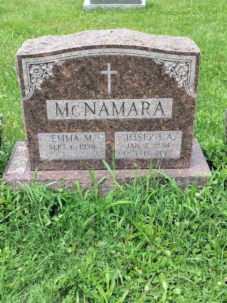 Joseph A. McNamara's grave. Photo 1