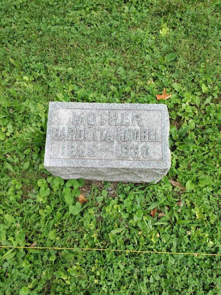 Barbetta Knobel's grave. Photo 3