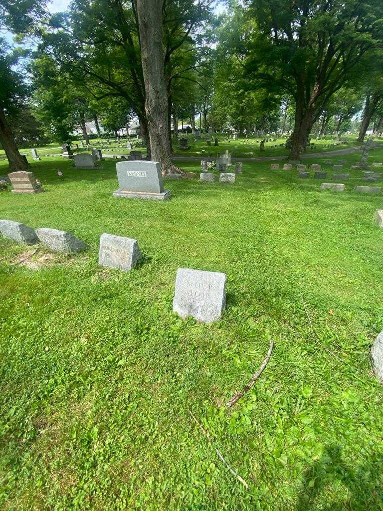 Nettie P. Tucker's grave. Photo 1