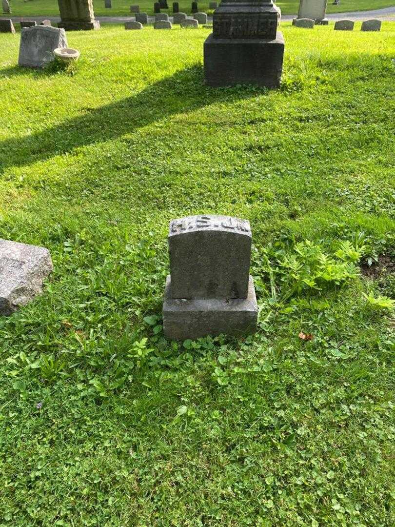 Henry Stammer Junior's grave. Photo 2