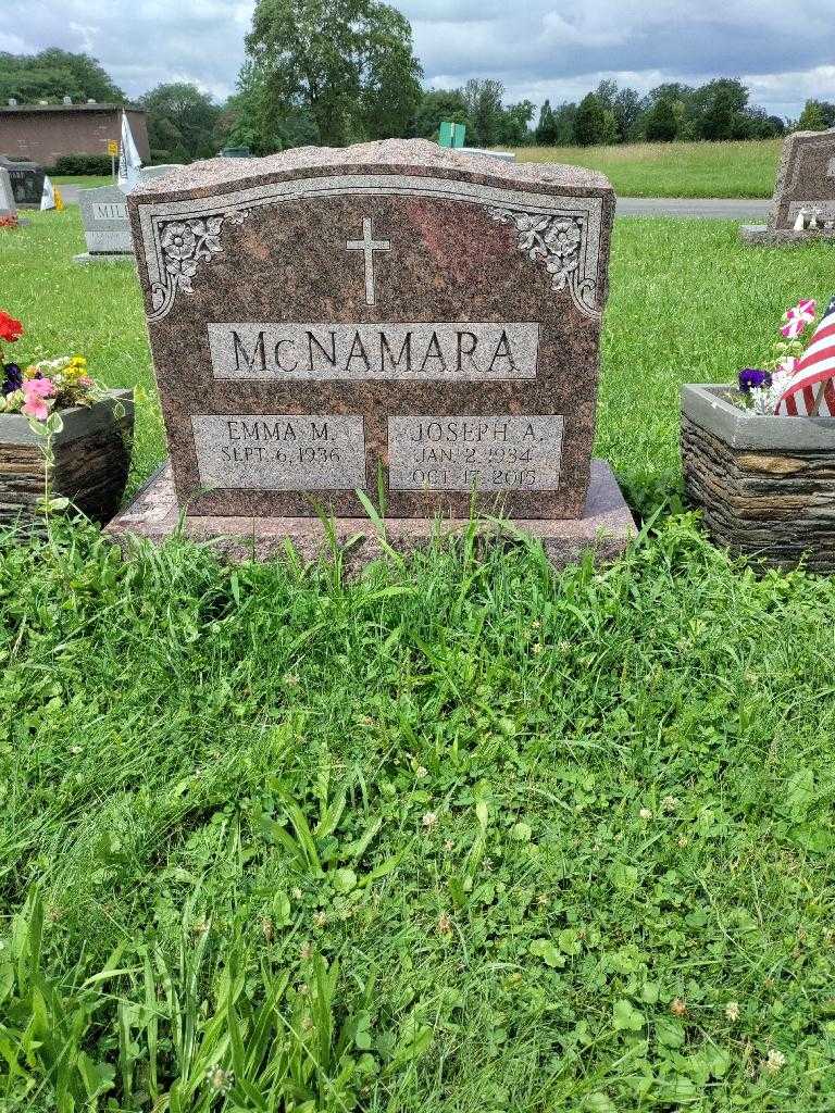 Joseph A. McNamara's grave. Photo 3