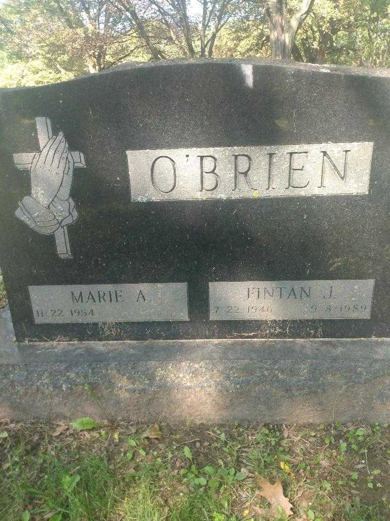 Fintan J. O'Brien's grave. Photo 2