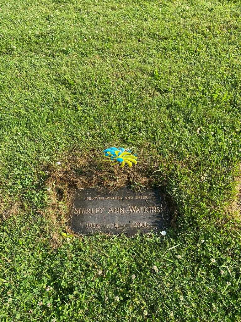 Shirley Ann Watkins's grave. Photo 2