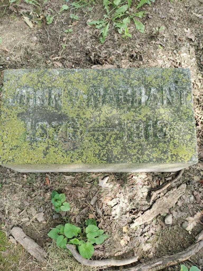 John V. Nachant's grave. Photo 3
