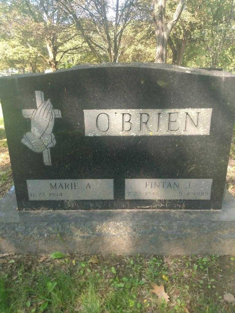 Fintan J. O'Brien's grave. Photo 3