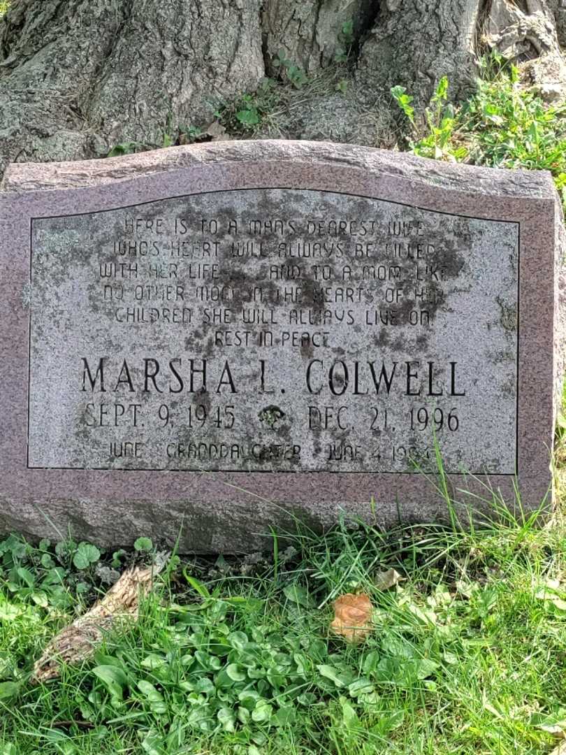 Marsha L Shepard Colwell's grave. Photo 3