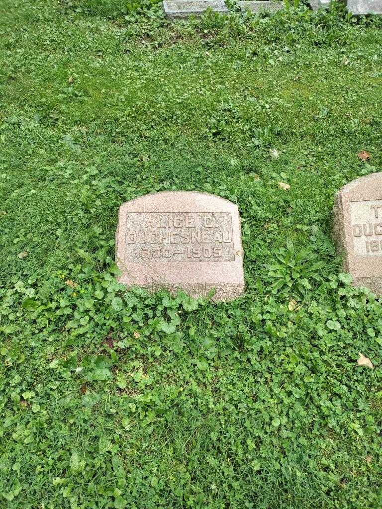 Alice C. DuChesneau's grave. Photo 2