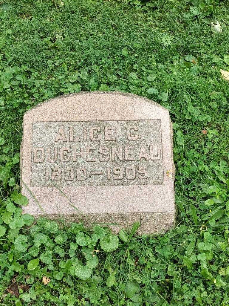 Alice C. DuChesneau's grave. Photo 3