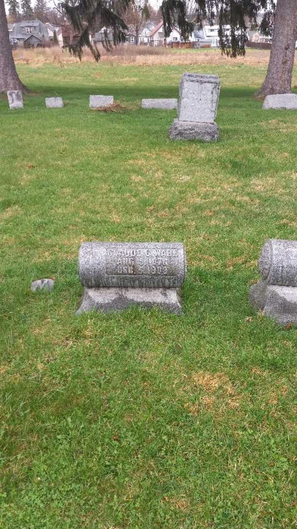 Claude C. Wade's grave. Photo 2