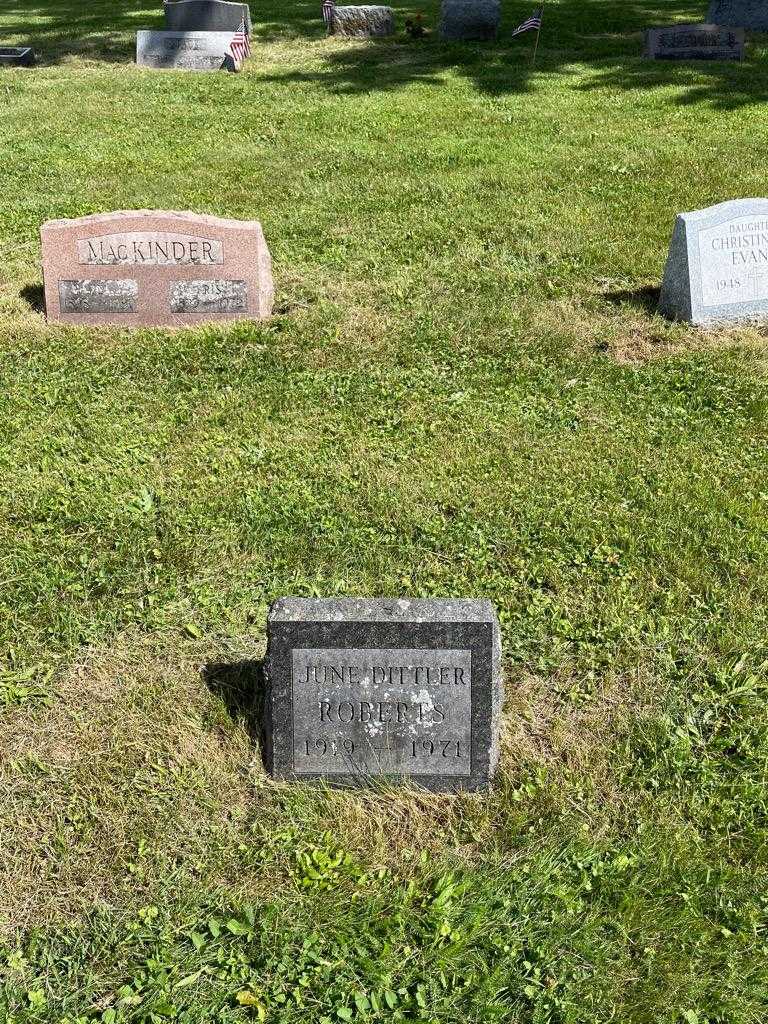 June Roberts Dittler's grave. Photo 2