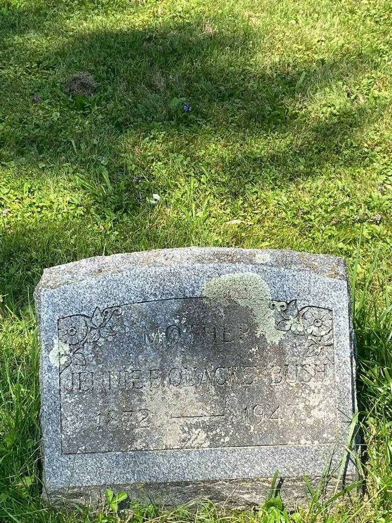 Jennie E. Quackenbush's grave. Photo 3