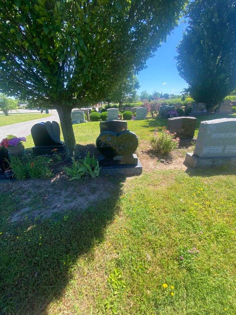 John P. Discenza's grave. Photo 1