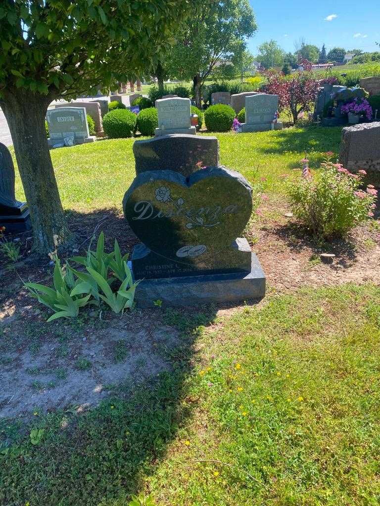 John P. Discenza's grave. Photo 2