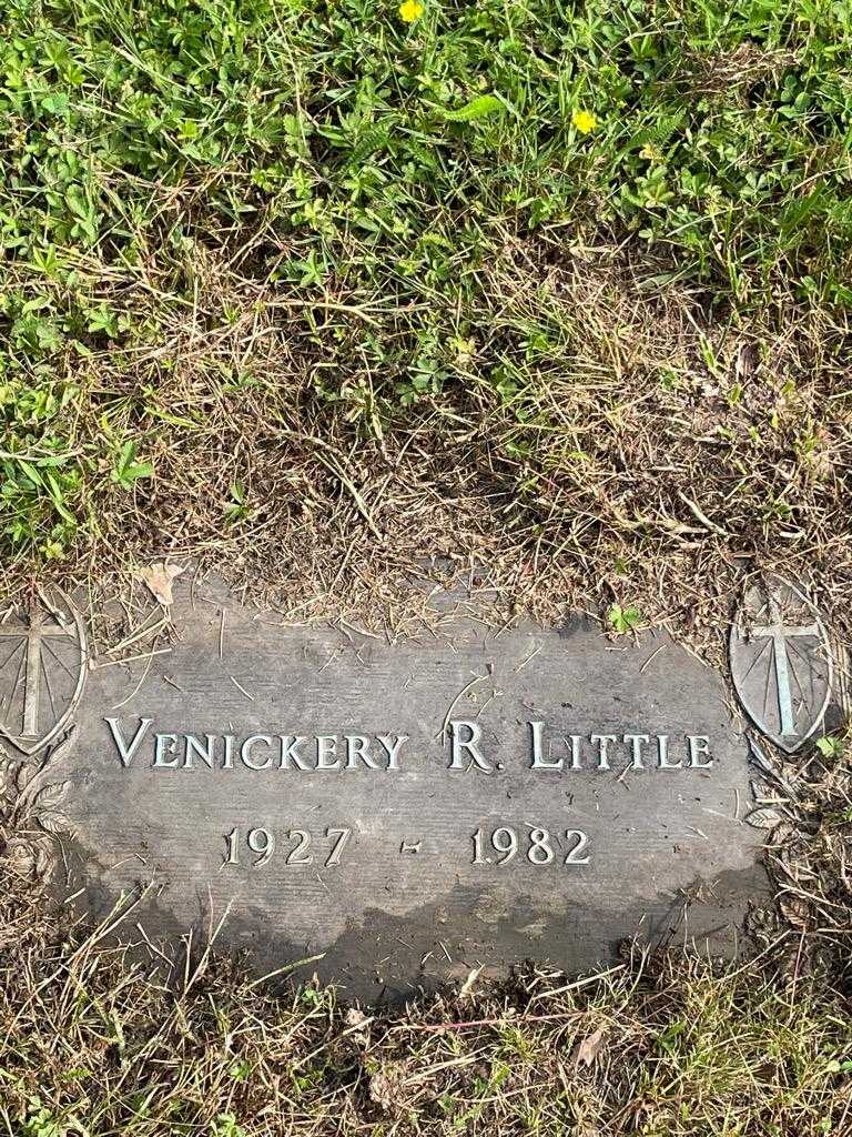 Vineckery R. Little's grave. Photo 3