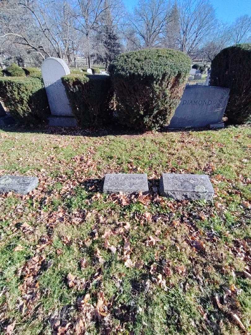 Kate K. Diamond's grave. Photo 1