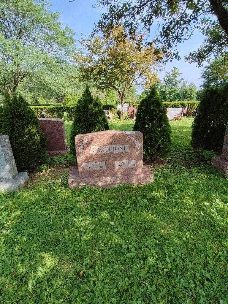 Rose A. Cacchione's grave. Photo 1