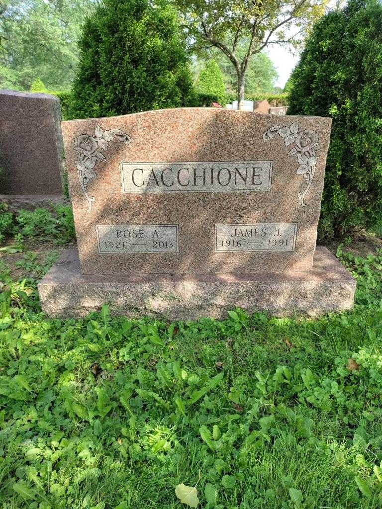 James J. Cacchione's grave. Photo 2
