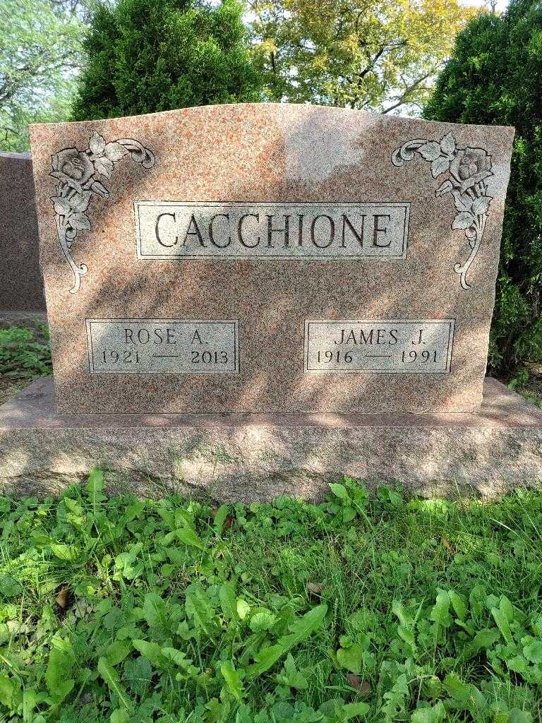 Rose A. Cacchione's grave. Photo 3