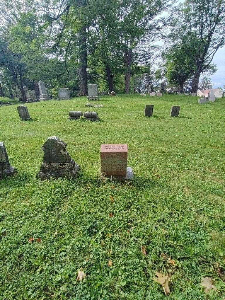 Charlotte Wheeler's grave. Photo 1