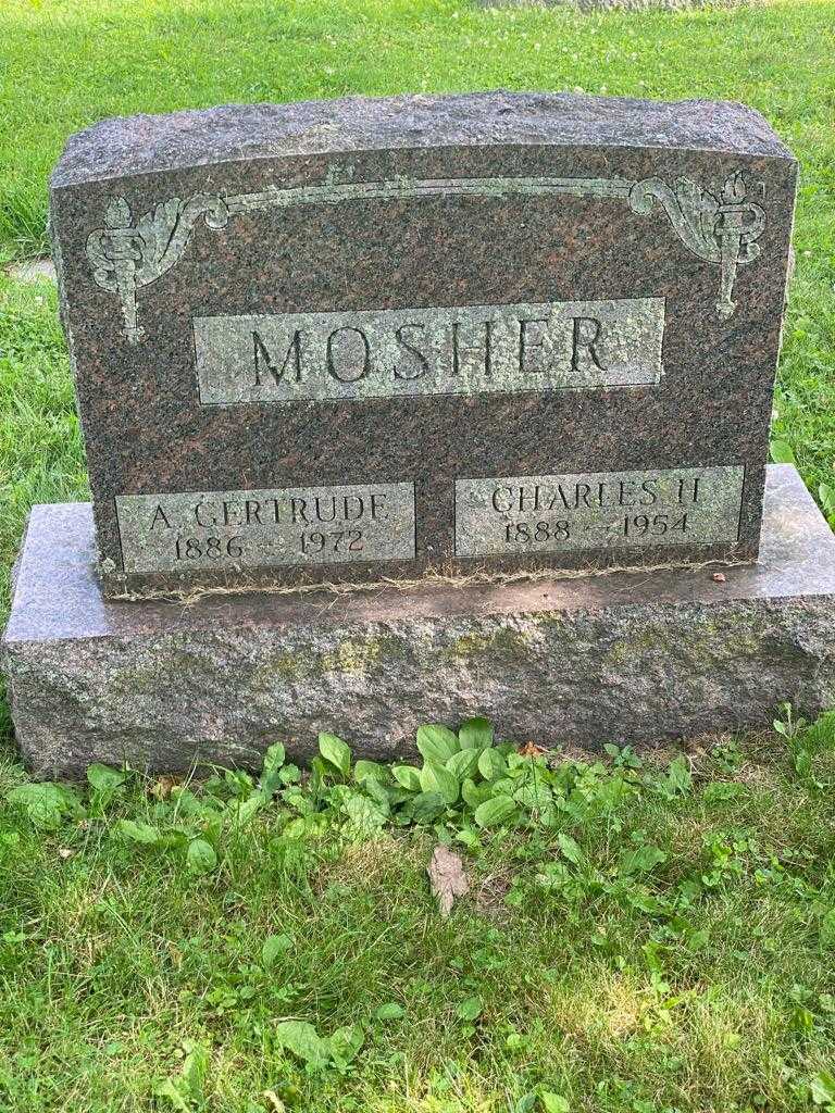 Gertrude A. Mosher's grave. Photo 3