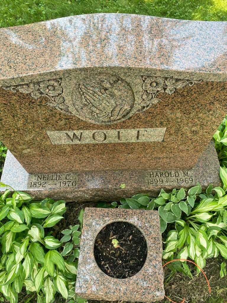 Harold M. Wolf's grave. Photo 3